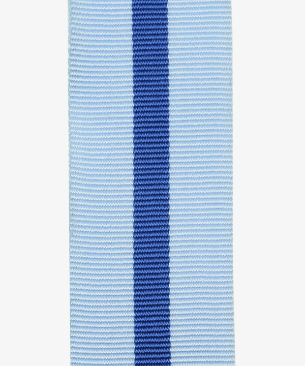 THW, Decoration of Honor of the Federal Agency for Technical Relief, Bronze (443)